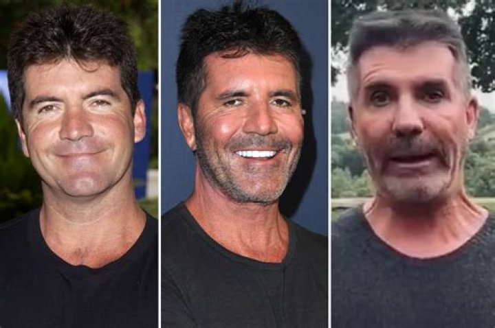 Exploring The Life Of Somin Cowell's Son