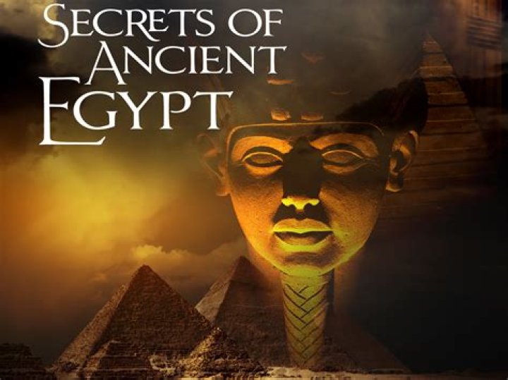 Uncover The Secrets Of Autopsy: A Comprehensive Guide