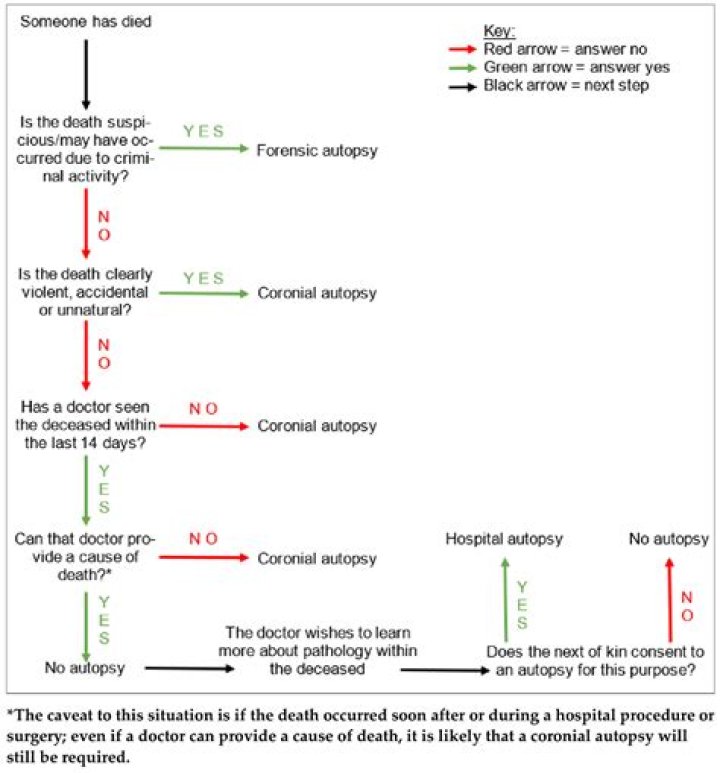 Unveiling The Secrets Of Autopsy Analysis: An In-depth Exploration